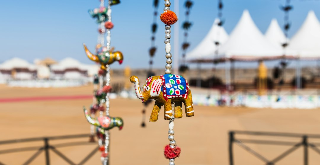 Rann of Kutch: il deserto di sale più grande del mondo - Juna | Secret World Trip Planner