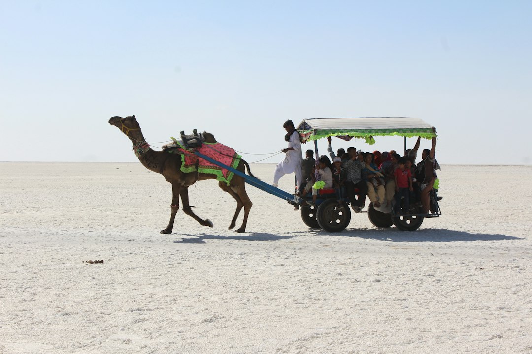 Rann of Kutch: il deserto di sale più grande del mondo - Juna | Secret World Trip Planner