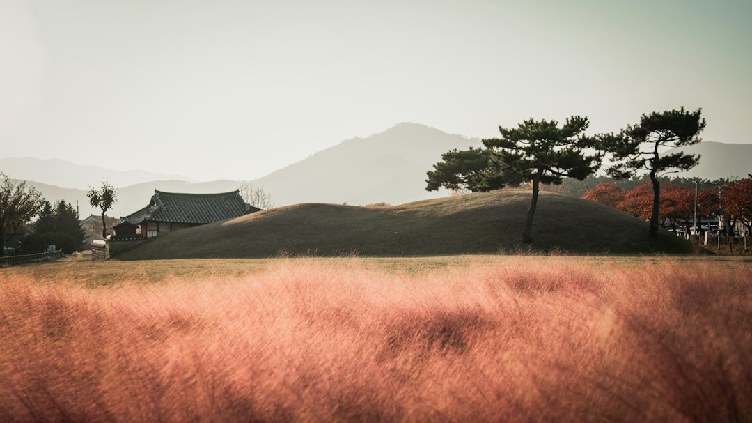 Gyeongju National Museum: Treasures of the Silla Kingdom - Gyeongju | Secret World Trip Planner