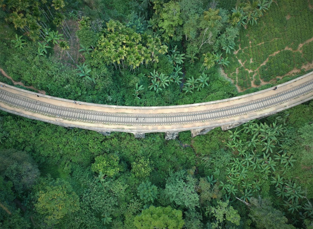 Neuf Arches : le viaduc colonial de Demodara - Akasa road | Secret World Trip Planner