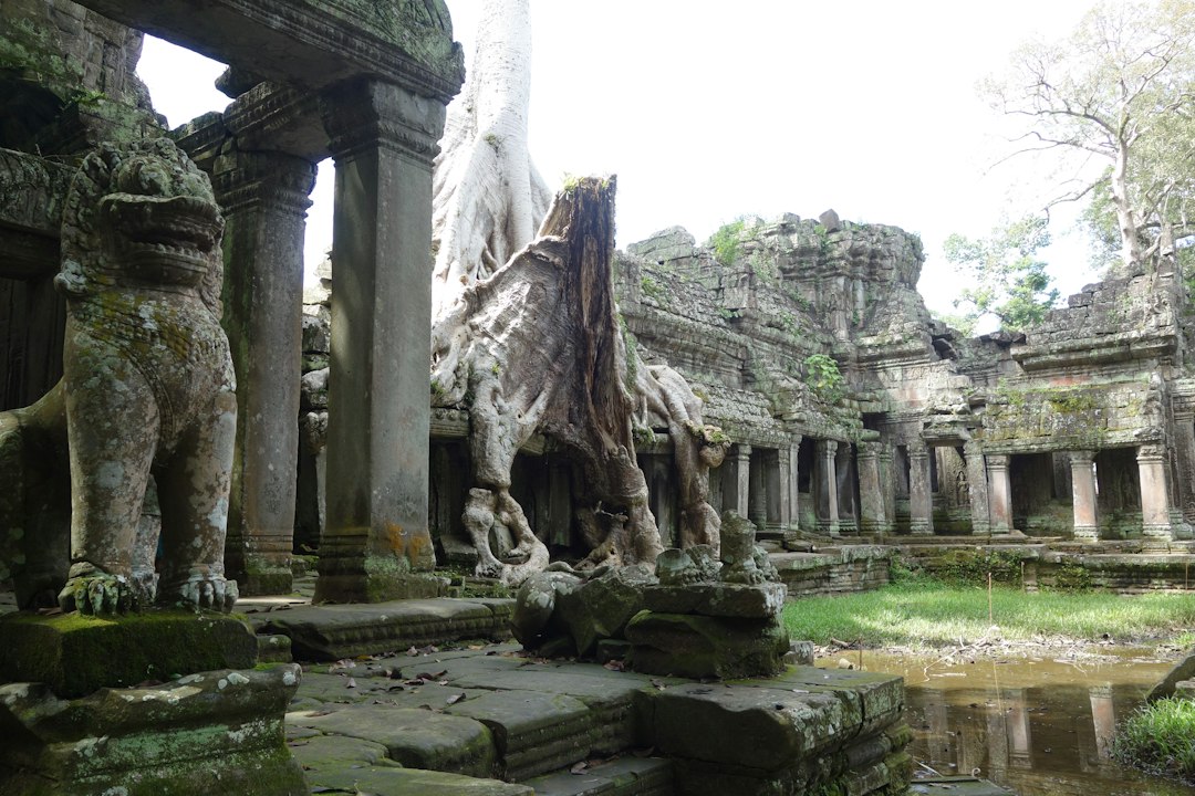 Preah Khan: il tempio-città di Siem Reap - Siem Reap | Secret World Trip Planner