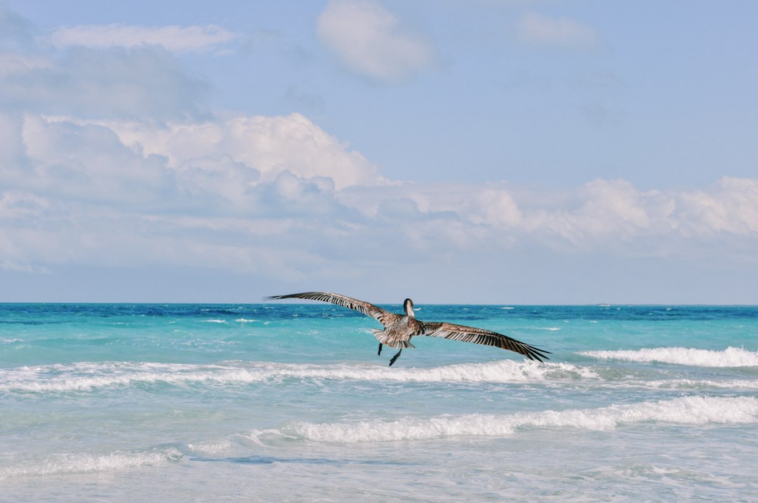 Playa Varadero: 20 km de arena blanca en Cuba - 5P2V+W3V | Secret World Trip Planner