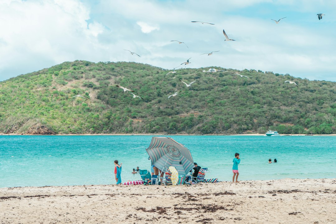 Playa Flamenco : la plus belle plage des Caraïbes - Flamenco | Secret World Trip Planner