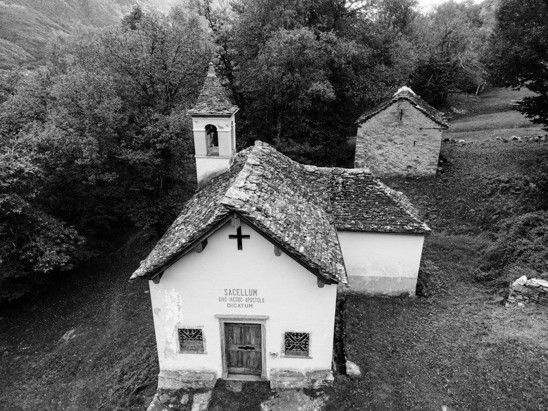 Iglesia en Nerl': la piedra blanca del siglo XII - Vladimirskaya oblast' | Secret World Trip Planner