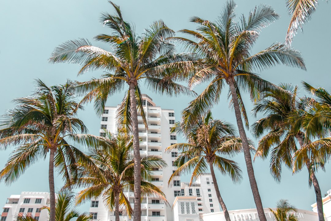 Wanderlog Bewertung 2026: Funktioniert es wirklich in Miami? - Miami | Secret World Trip Planner