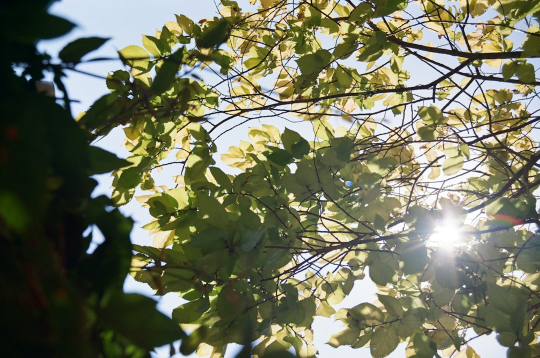 Barossa Valley: Jahrhundertealte Weine und Weinberge - Barossa Valley | Secret World Trip Planner