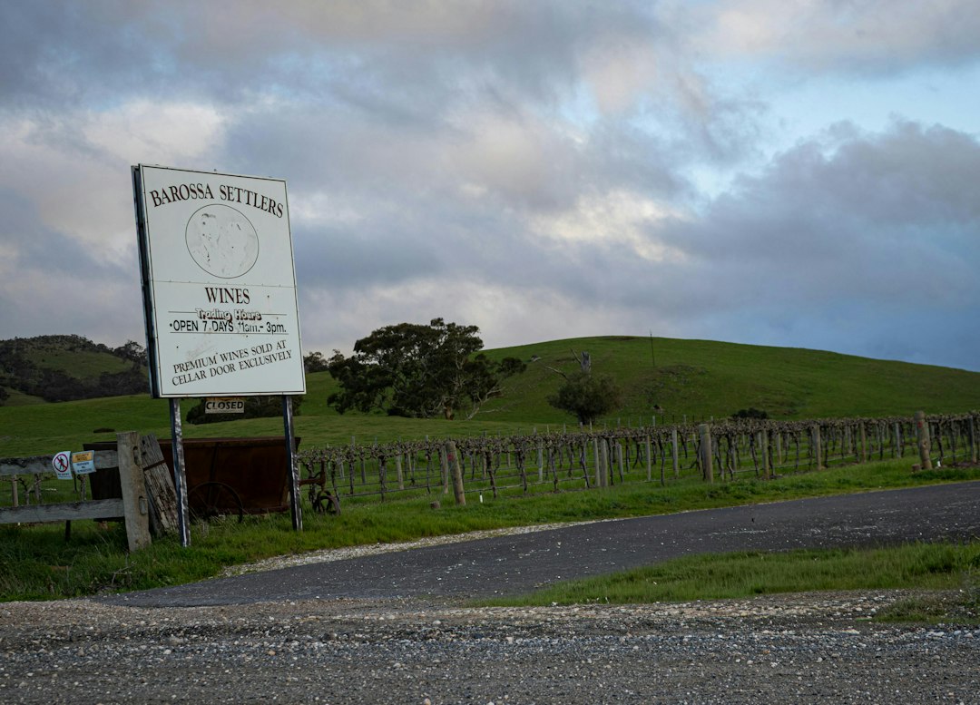 Barossa Valley : vins et vignes centenaires en Australie - Barossa Valley | Secret World Trip Planner
