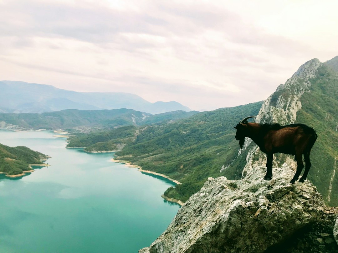 Mali i Krujës: ein Naturjuwel im Herzen Albaniens - Krujë | Secret World Trip Planner