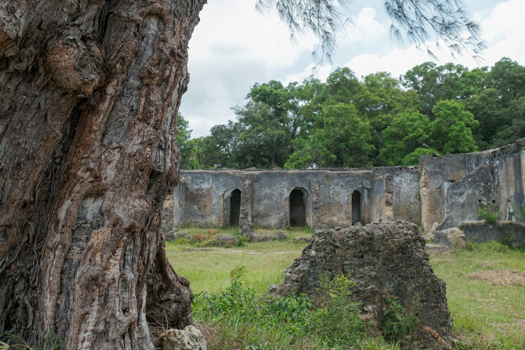 Gede Ruinen: Swahili-Paläste in der Dschungel - Gede Watamu Rd | Secret World Trip Planner