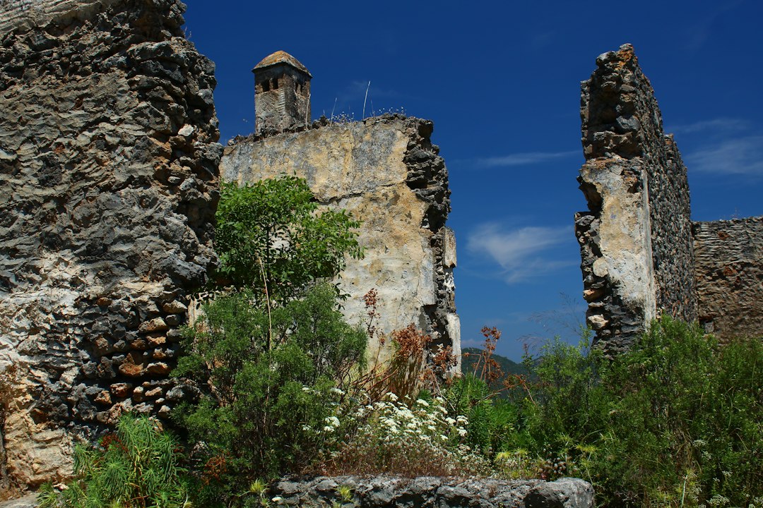 Ruinas de Gede: palacios swahili en la selva - Gede Watamu Rd | Secret World Trip Planner