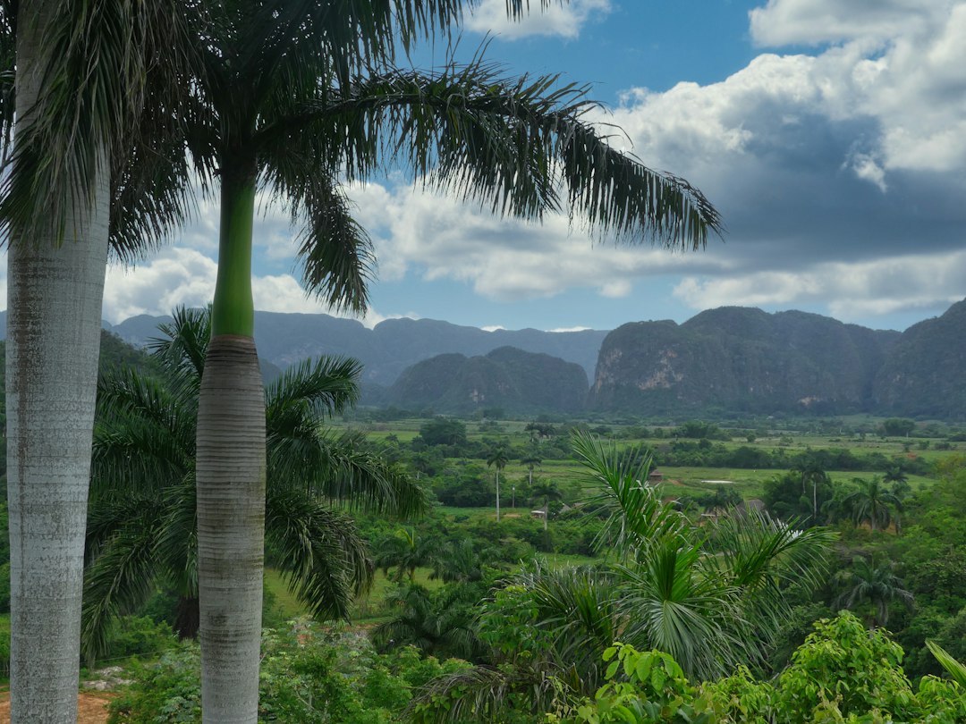 Scopri Pico San Juan: Il Cuore Verde di Cuba - Mayarí | Secret World Trip Planner