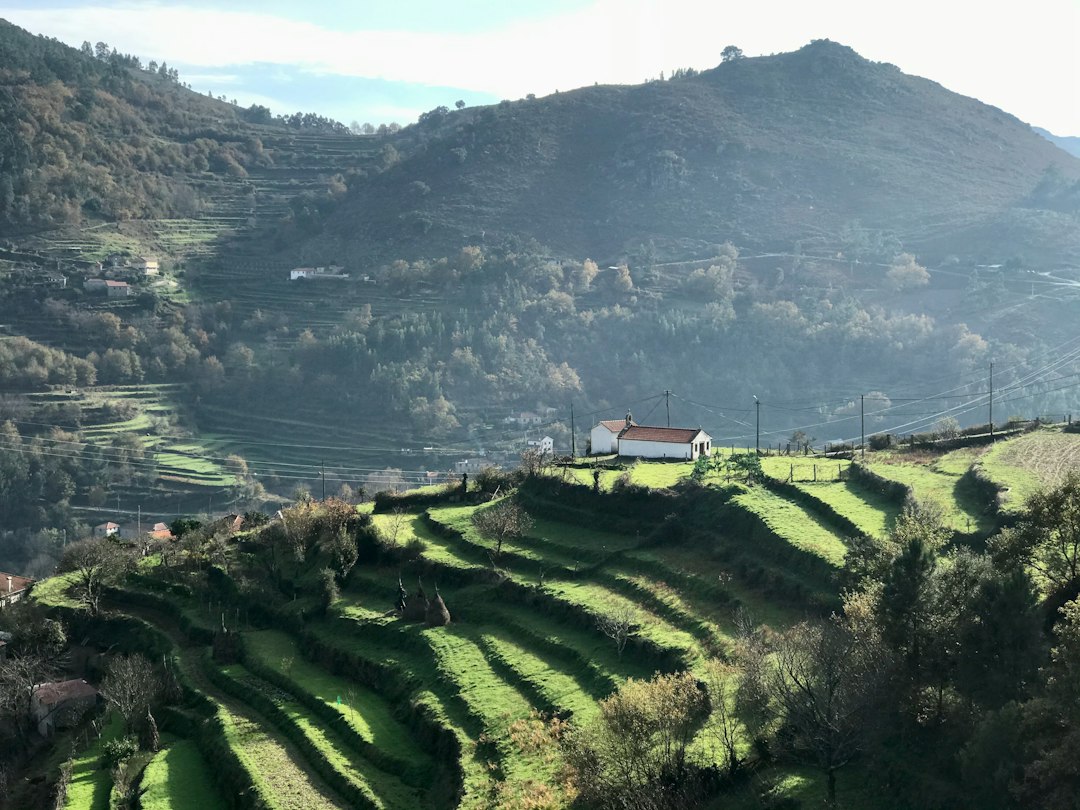 Quinta do Crasto: Wines and Schist in the Douro - Quinta do Crasto | Secret World Trip Planner