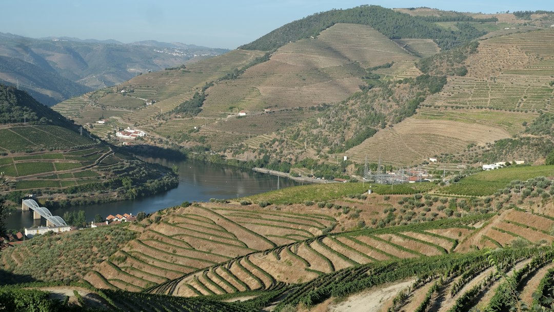 Quinta do Crasto: Wines and Schist in the Douro - Quinta do Crasto | Secret World Trip Planner
