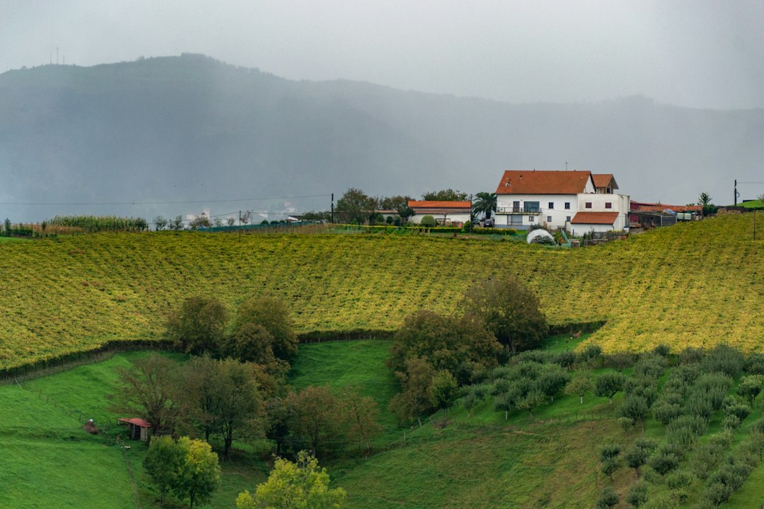 Quinta do Crasto : vins et schistes du Douro — Quinta do Crasto