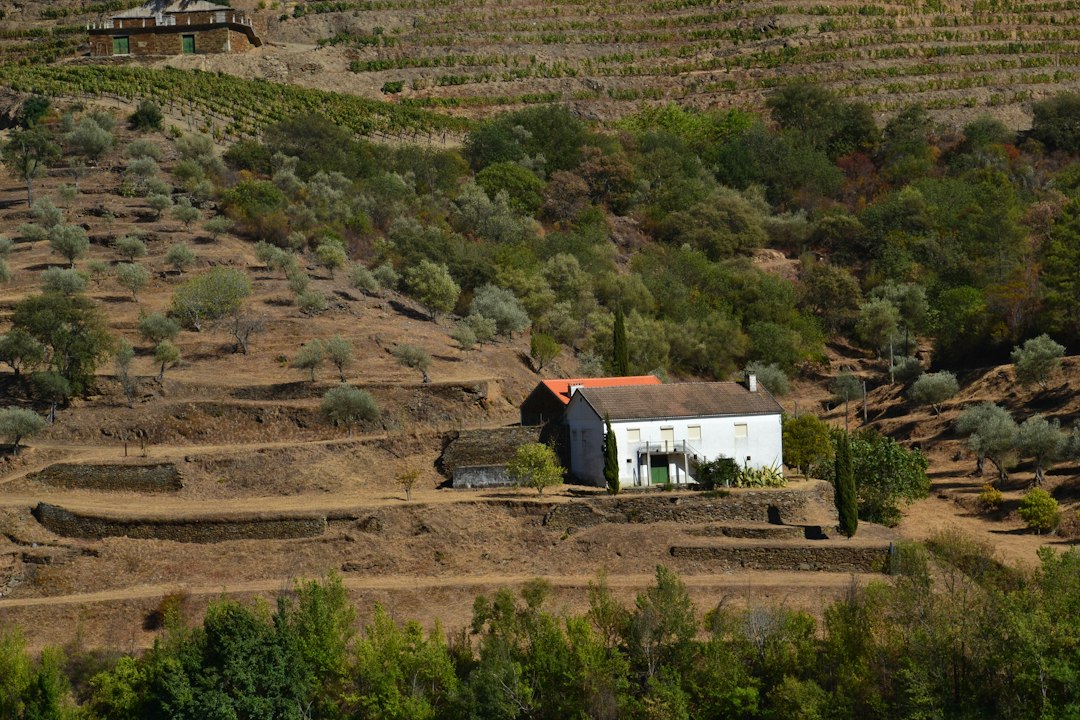 Quinta do Crasto: vinos y esquistos en el Douro - Quinta do Crasto | Secret World Trip Planner
