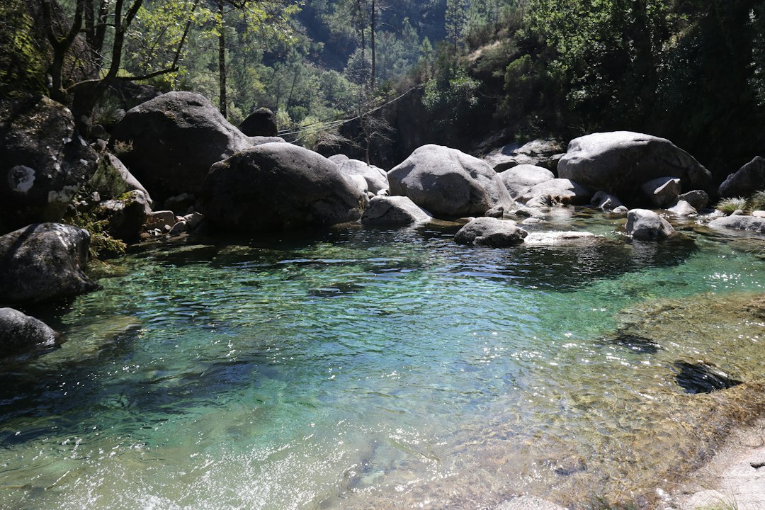 Caño Cristalitos : le fleuve arc-en-ciel de Colombie - La Macarena | Secret World Trip Planner