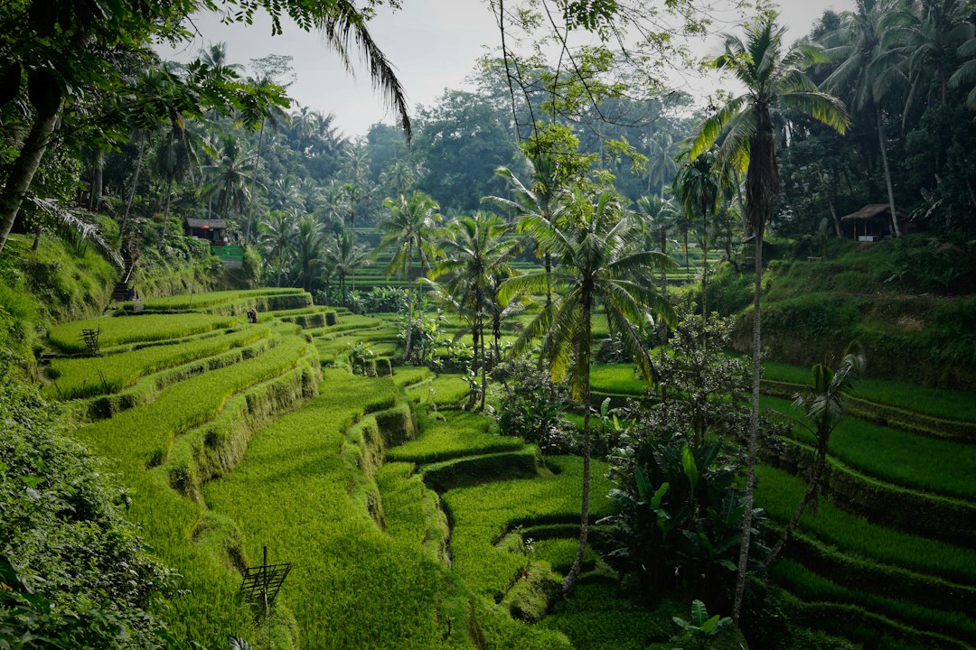 Wanderlog Review 2026: Does It Really Work for Bali? - Bali | Secret World Trip Planner