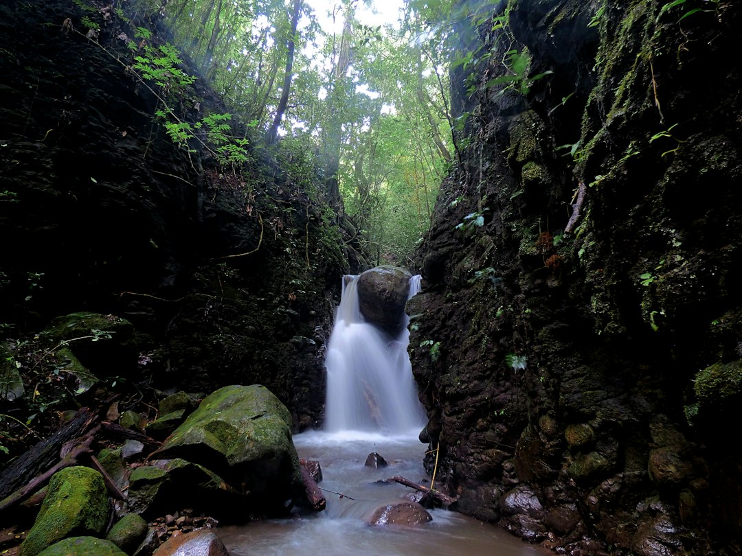 Monteverde : ponts suspendus dans la forêt nuageuse - Provincia di Puntarenas | Secret World Trip Planner