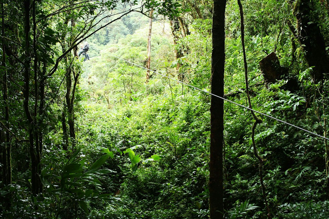 Monteverde : ponts suspendus dans la forêt nuageuse - Provincia di Puntarenas | Secret World Trip Planner