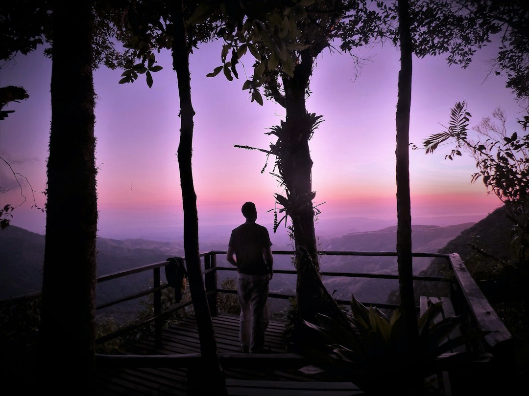 Monteverde : ponts suspendus dans la forêt nuageuse - Provincia di Puntarenas | Secret World Trip Planner