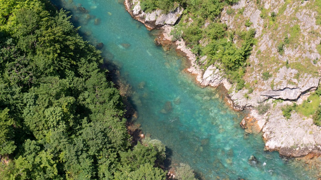 Canyon del Tara: Stunning Views in Montenegro's Heart — Tara River Canyon