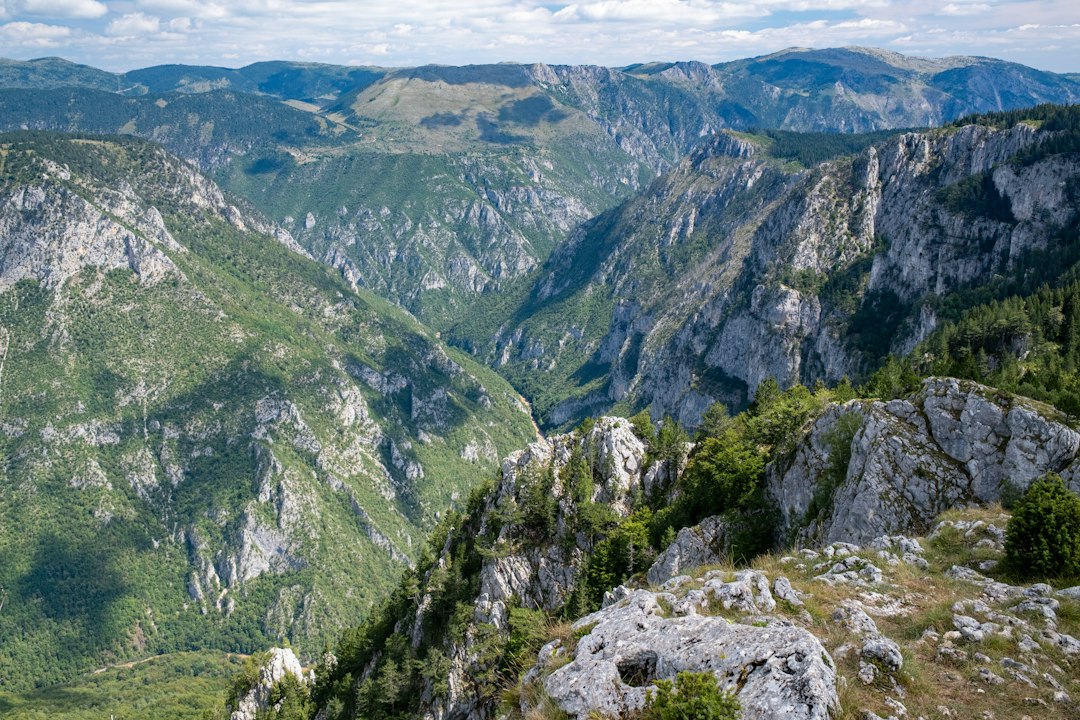 Canyon del Tara: Stunning Views in Montenegro's Heart - Tara River Canyon | Secret World Trip Planner