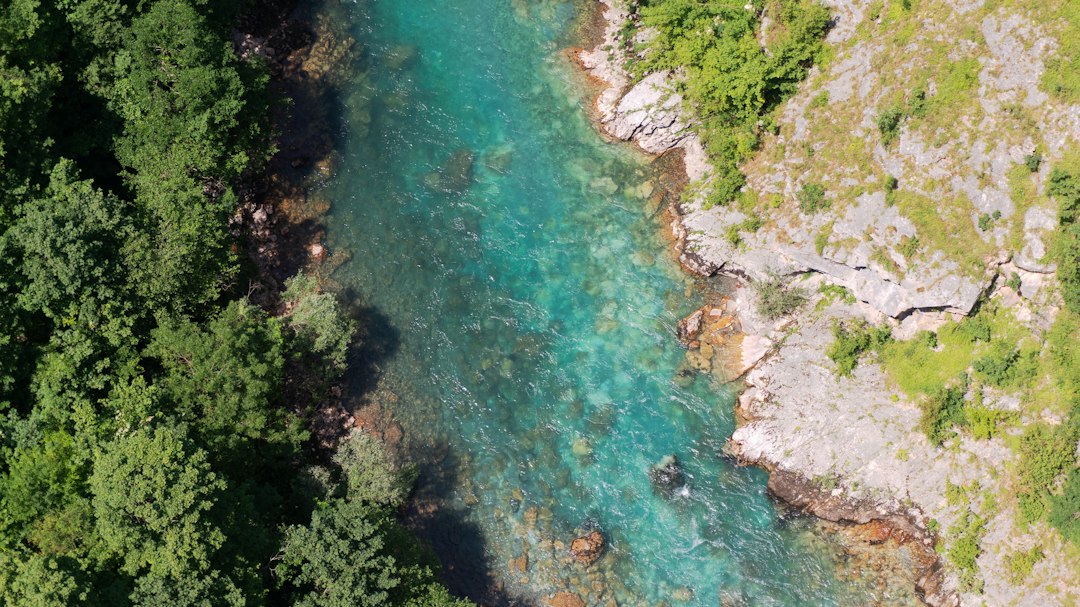 Canyon del Tara: Stunning Views in Montenegro's Heart - Tara River Canyon | Secret World Trip Planner