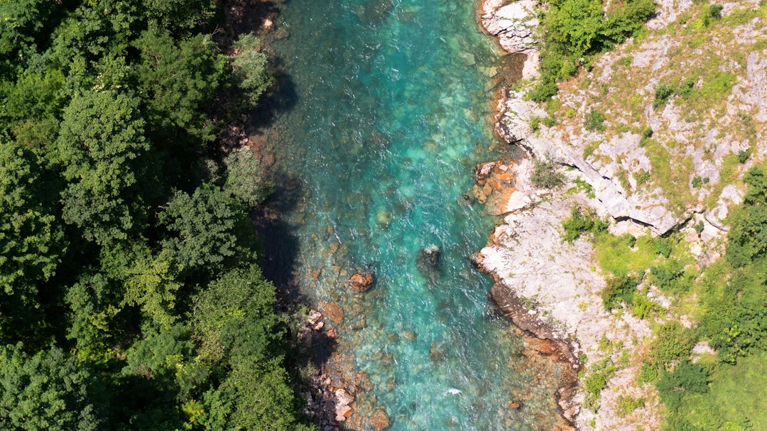 Canyon del Tara: Stunning Views in Montenegro's Heart - Tara River Canyon | Secret World Trip Planner