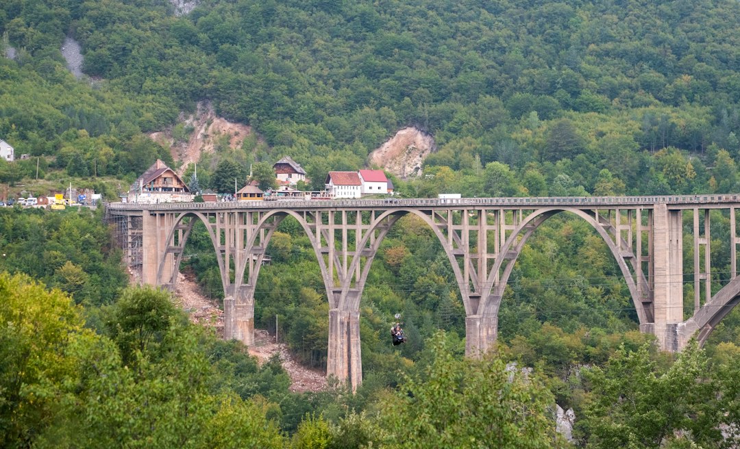Canyon del Tara: Stunning Views in Montenegro's Heart - Tara River Canyon | Secret World Trip Planner
