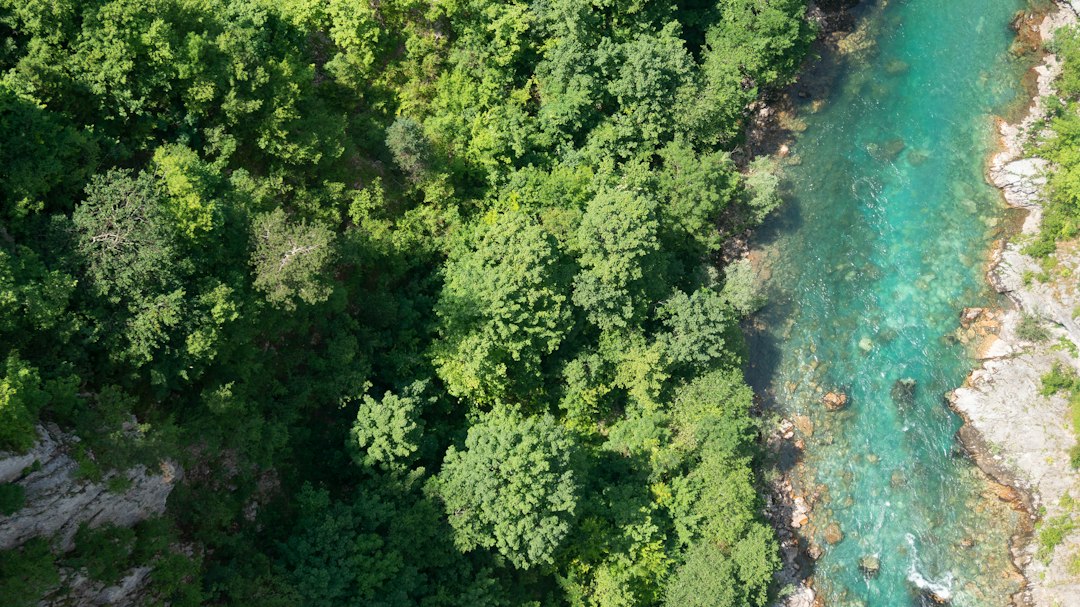 Cañón del Tara: paisajes en el corazón de Montenegro - Tara River Canyon | Secret World Trip Planner