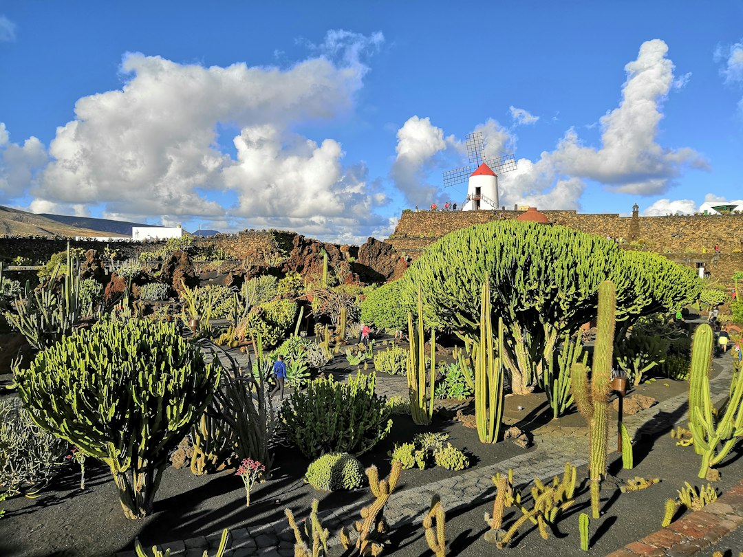 Kaktusgarten Lanzarote: Vulkan und Kunst erleben - 35544 Guatiza | Secret World Trip Planner