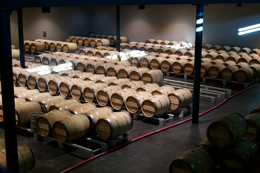 Château Margaux: vino y arquitectura en el Médoc - 33460 Margaux-Cantenac | Secret World Trip Planner