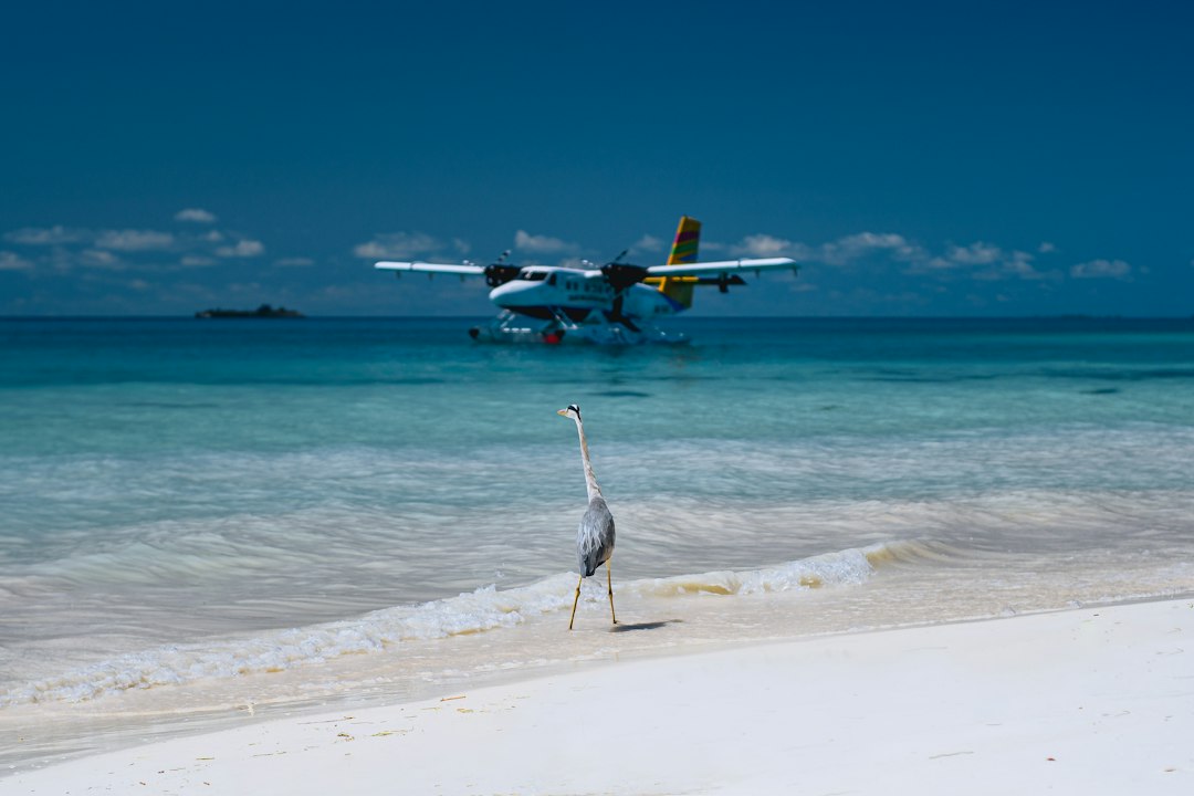 The Crane Resort: Die schönste Strand von Barbados | Secret World Trip Planner