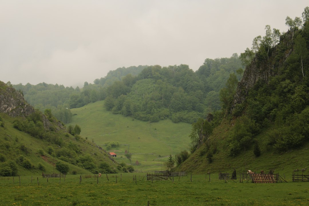 Murfatlar: Weine und Weinkeller in Rumänien - Strada Murfatlarului 1 | Secret World Trip Planner
