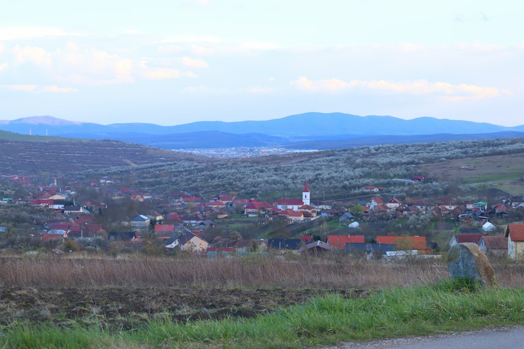 Murfatlar: Weine und Weinkeller in Rumänien - Strada Murfatlarului 1 | Secret World Trip Planner