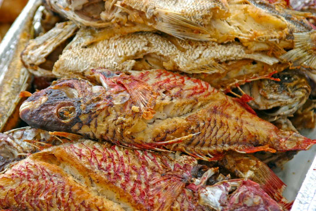 Oistins Fish Fry: la fiesta del viernes en Barbados - 3F74+CRP | Secret World Trip Planner