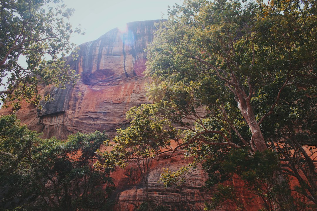 Découvrez le Charme du Rocher du Lion de Sigiriya - XQ46+R46 | Secret World Trip Planner