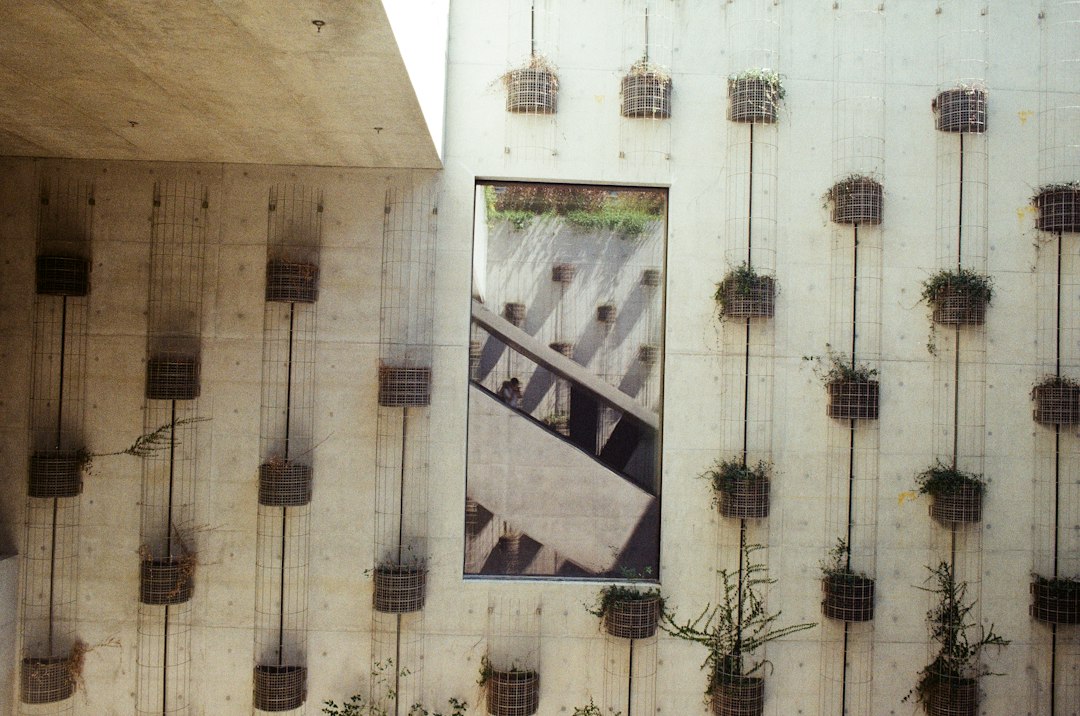 Découvrir l'art contemporain au musée M+ de Hong Kong - West Kowloon | Secret World Trip Planner