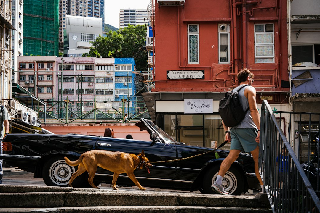 Discover the Ping Shan Heritage Trail in Hong Kong — Ping Shan