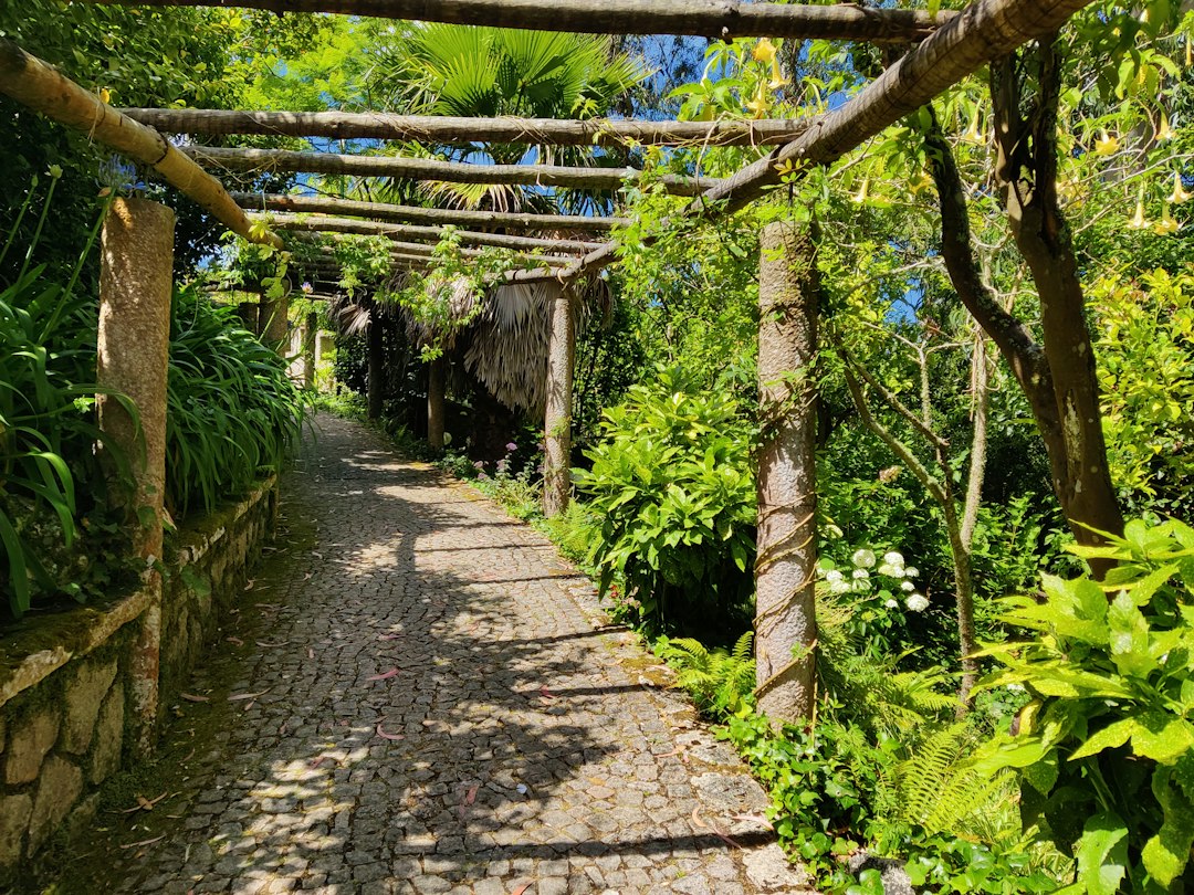 Lou Lim Ioc Garden: An Oasis in Macau - 10 Estr. de Adolfo Loureiro | Secret World Trip Planner