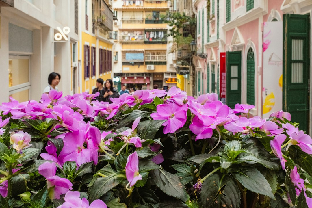 Découvrez le Jardin Camoes à Macao : Un Paradis Caché — de Macau