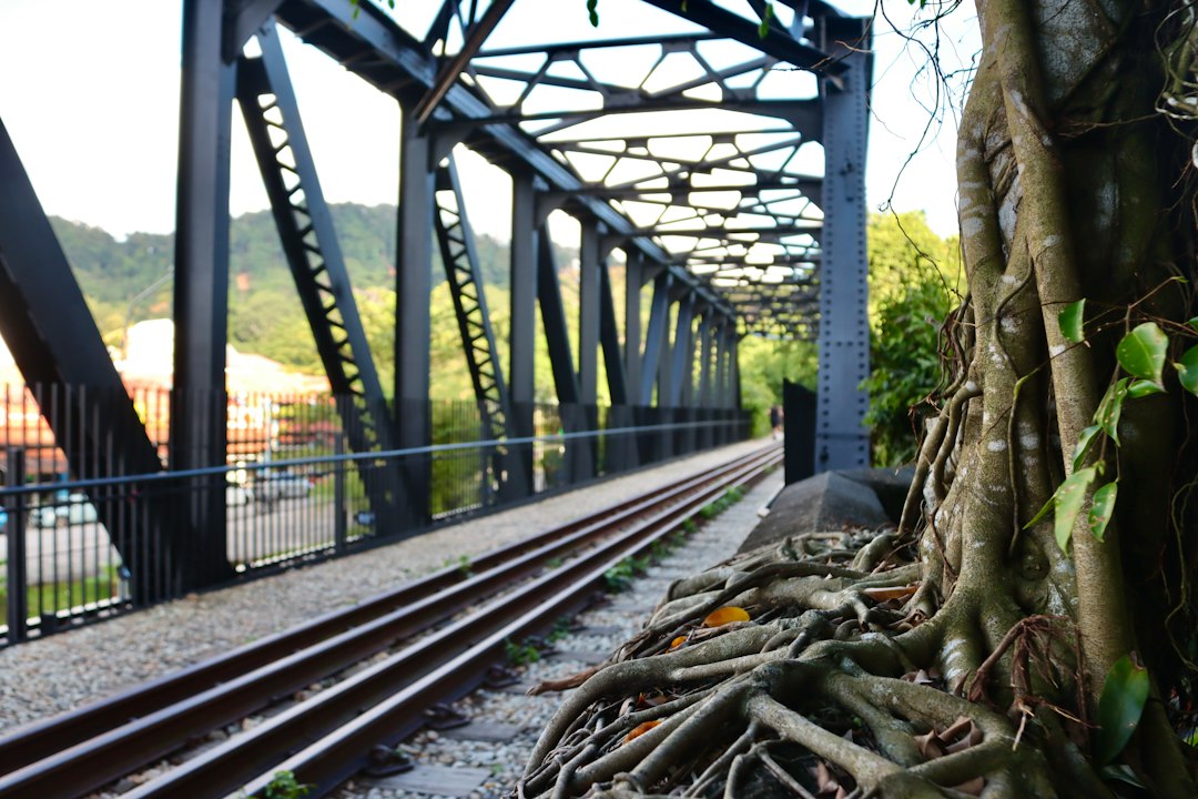 Scoprire la Magia della Riserva Naturale di Bukit Timah - Hindhede Dr | Secret World Trip Planner