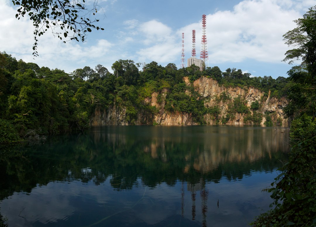 Scoprire la Magia della Riserva Naturale di Bukit Timah - Hindhede Dr | Secret World Trip Planner
