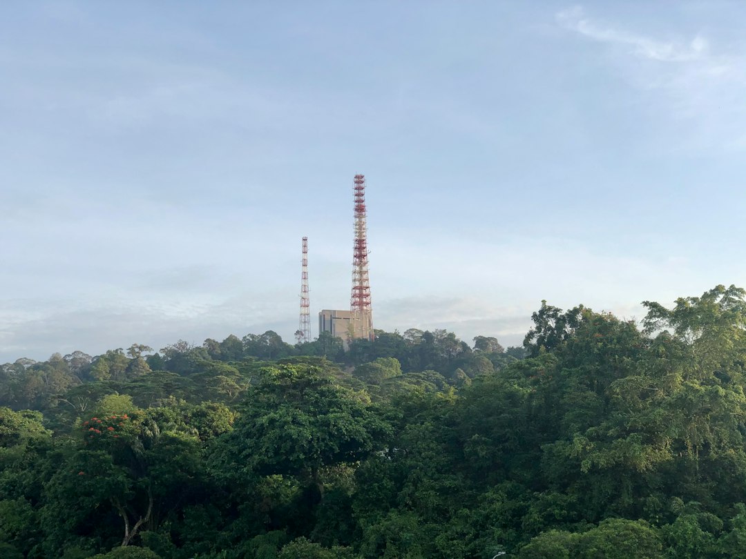 Entdecke die Magie des Bukit Timah Naturreservats - Hindhede Dr | Secret World Trip Planner