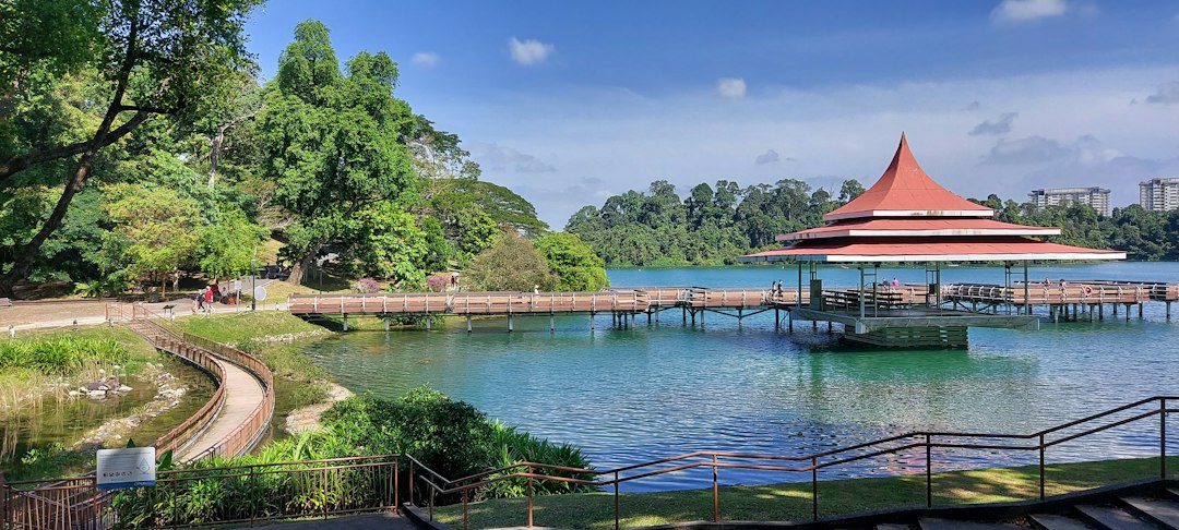 Scopri la Magia del MacRitchie Reservoir - MacRitchie Reservoir | Secret World Trip Planner