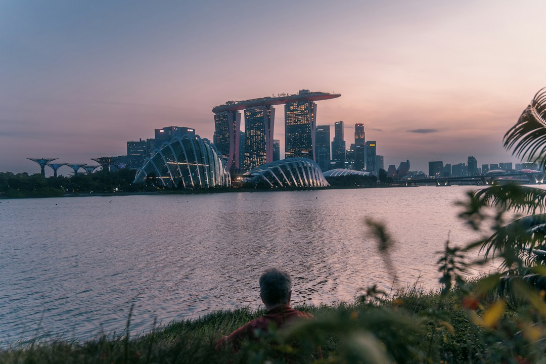 Entdecke die Magie des MacRitchie Reservoirs - MacRitchie Reservoir | Secret World Trip Planner