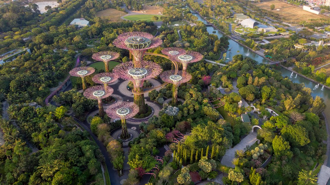 Esplorando i Giardini di Gardens by the Bay — 18 Marina Gardens Dr