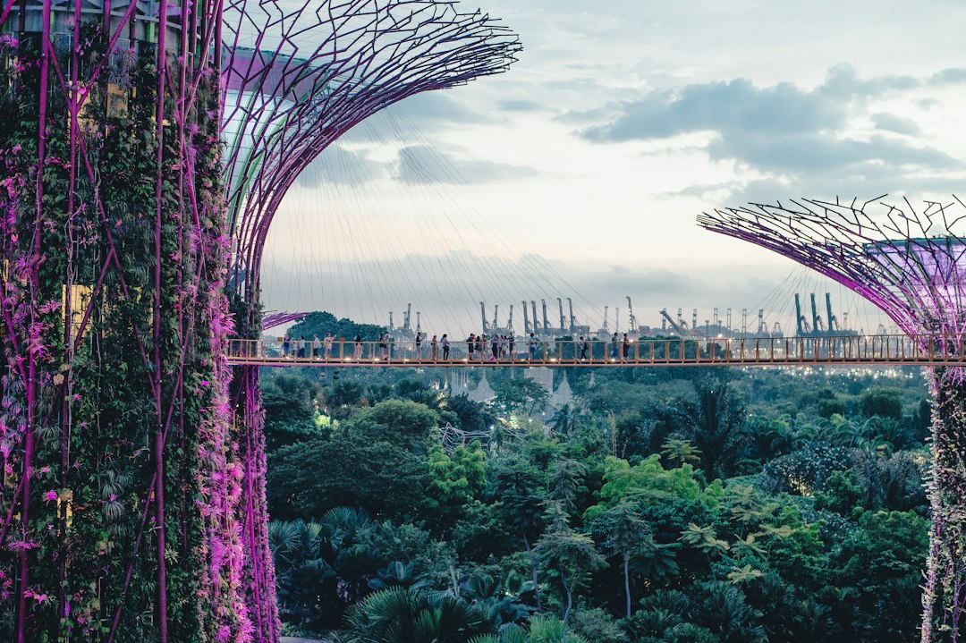 Exploring the Gardens of Gardens by the Bay - 18 Marina Gardens Dr | Secret World Trip Planner