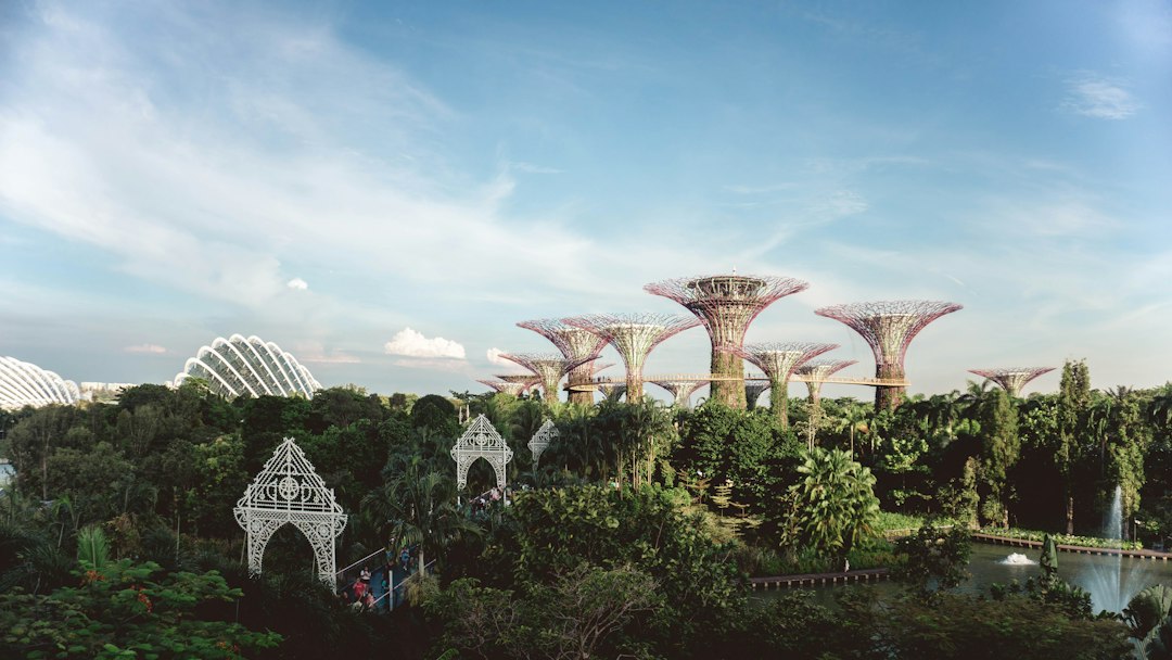 Exploring the Gardens of Gardens by the Bay - 18 Marina Gardens Dr | Secret World Trip Planner