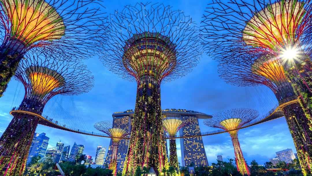 Exploration des Jardins de Gardens by the Bay - 18 Marina Gardens Dr | Secret World Trip Planner